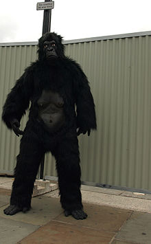 Gorilla suit.jpg
