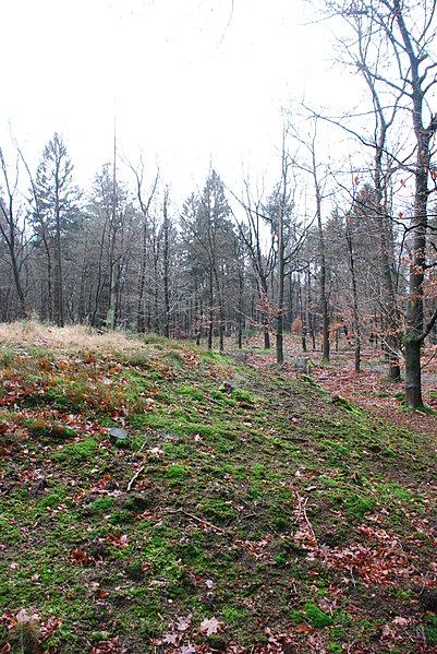 File:Grafheuvels Tongeren (30942911186).jpg