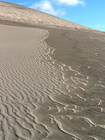 Great Sand Dunes National Park and Preserve P1012957.jpg