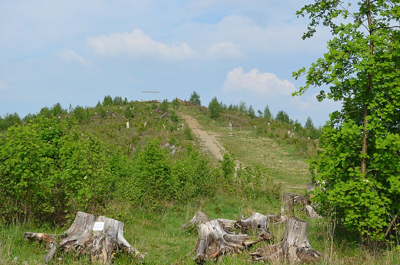 File:Gudenhagen- Petersborn Blick auf den Gudenhagener Poppenberg mit Landschaftsbilderrahmen 2.JPG