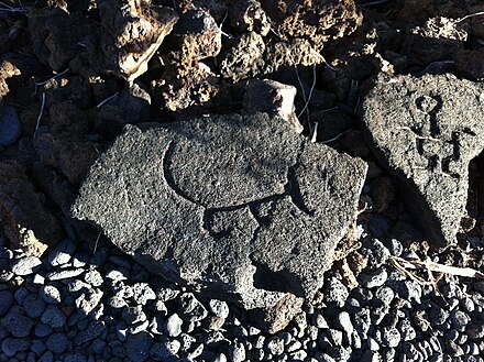 Ancient Hawaiian petroglyphic depiction of a native dog, Hawaii Island