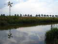 Hertogswetering, petit moulin de drainage à hauteur de Berghem