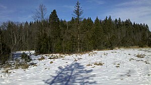 In the Babenstuben moor with the wooded Hirschbühel in the background