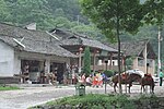 Miniatura para Tujia