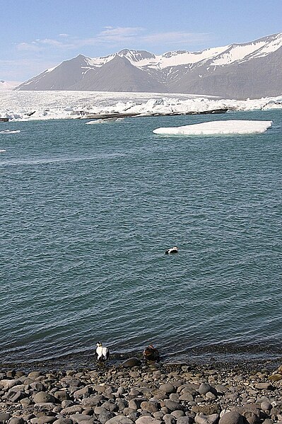 File:Iceland 2008-05-26 (2646564967).jpg