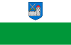 Ida-Viru bayrağı
