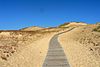 Image-Lithuania Juodkrante sand dunes.jpg