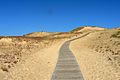 Image 1Sand dunes in the Curonian Spit