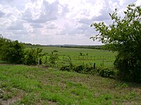 A scene typical of the mixed pastures and wooded hills of eastern Jack County Jack County.JPG