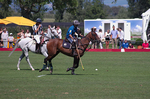 Polo player, with referee