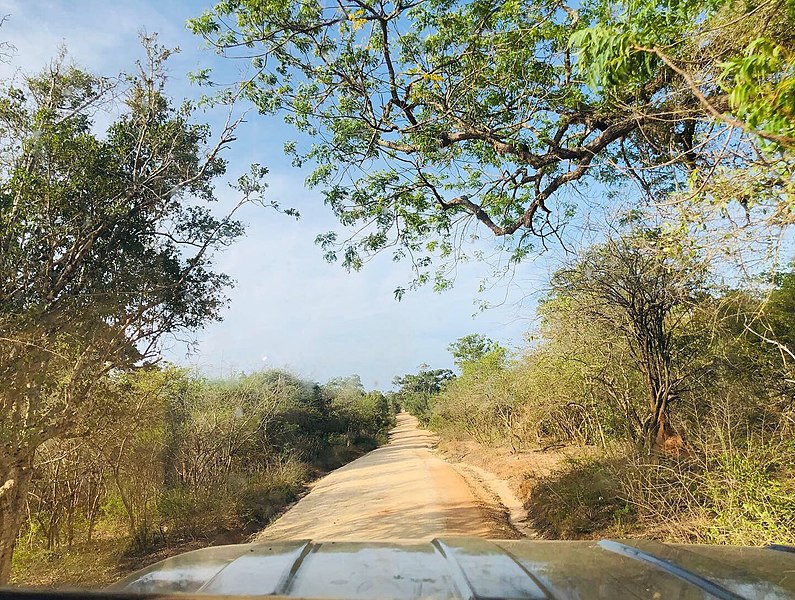 File:Jeep safari inside Yala National Park.jpg