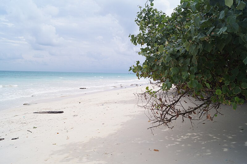 File:Kala Patthar beach in Havelock. Andaman and Nicobar Islands.jpg