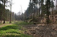 Schwanenweiher, Kaskade und Tumulus, vor der Wiederherstellung