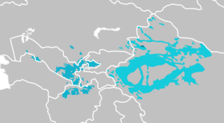 <span class="mw-page-title-main">Karluk languages</span> Sub-branch of the Turkic language family