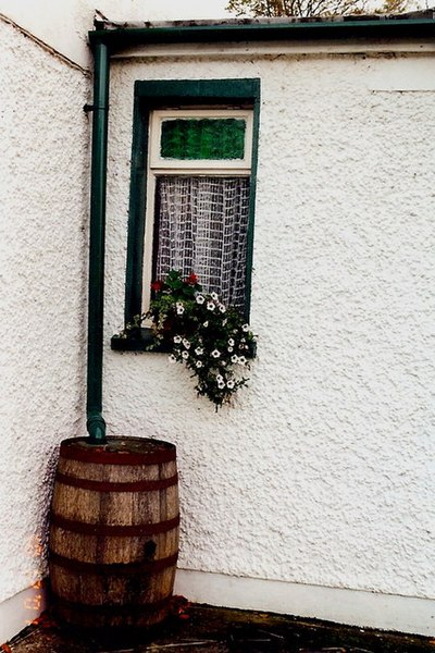 File:Kilmeadan - The Cosy Thatch Pub rain barrel - geograph.org.uk - 1635414.jpg