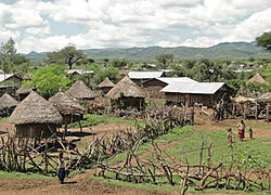 Village konso