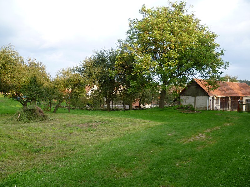 File:Kozlany-alibaba - panoramio - Aleš Pouchlý (4).jpg