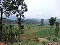 Thumbnail for Kavrepalanchok District