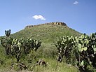 La Mesilla, Sombrerete