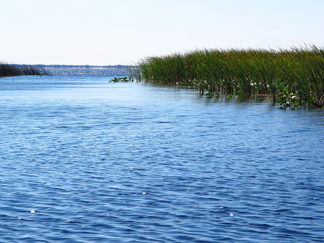 Lake Istokpoga