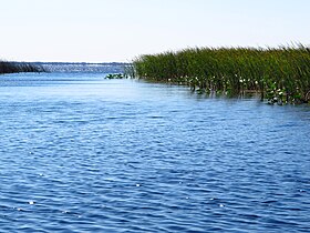 Illustrasjonsbilde av artikkelen Lake Istokpoga