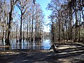 Lake Miccosukee boat ramp along US 90