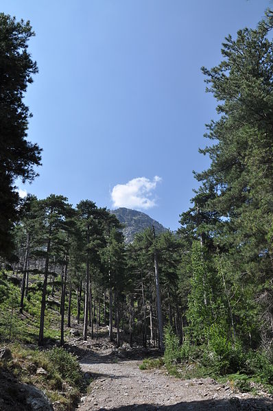 File:Landschaft auf Korsika 0697.jpg