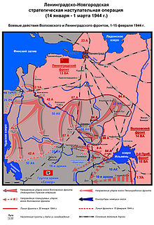 Leningrad-Novgorod Offensive in February 1944, showing encirclement of 8th Army Leningradsko Novgorodskaya operatsya 1944 3 boi 1-15-2-44.jpg