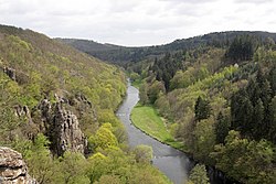 Řeka Jihlava z vyhlídky v rezervaci