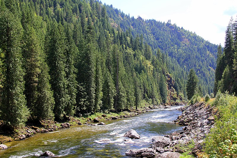 File:Lochsa River in Clearwater NF.jpg