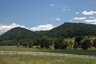 <span class="mw-page-title-main">Little Dry Run Wilderness</span>