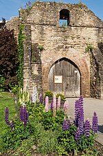 Miniatura per Castell de Ludlow