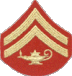 MCJROTC kurumsal insignia.gif