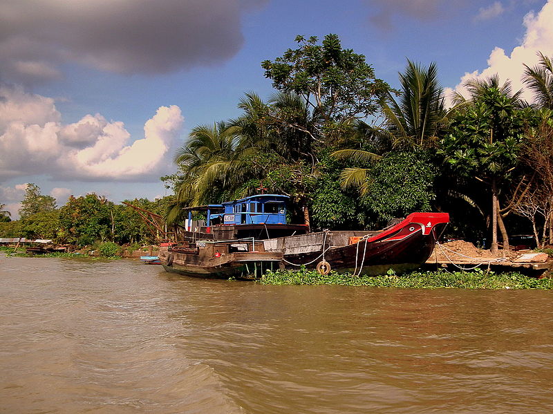 File:MEEKONG DELTA VIETNAM JAN 2012 (6967529027).jpg