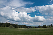 Deutsch: Hoch-Heidelandschaft im Sattel zwischen der Nord- und Südkuppe der Fuchskaute, der höchsten Erhebung des Westerwaldes, Naturschutzgebiet Fuchskaute