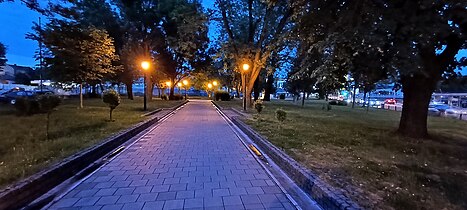 Пешачка стаза у парку
