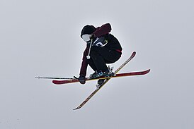 Mathilde Gremaud, Lillehammer 2016 Slopestyle ski.jpg