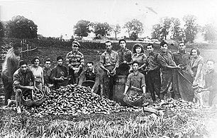 Membres du mouvement Hechalutz Tel Hai se formant à l'agriculture