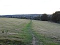 Merry Hill looking towards Carpenders Park (geograph 3129506).jpg