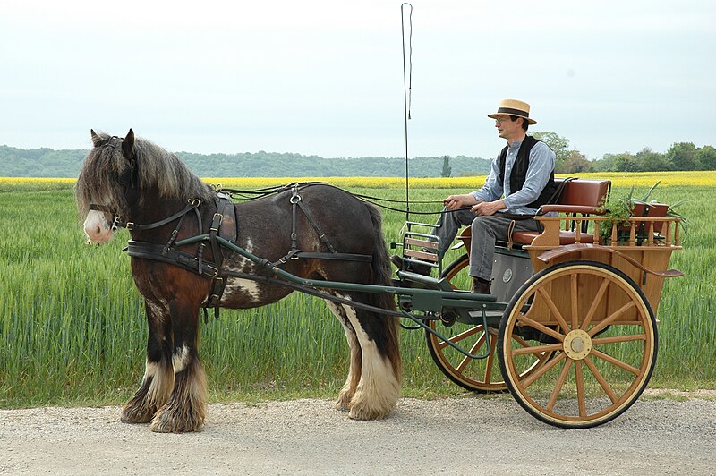 File:Mickey et sa Caleche.jpg