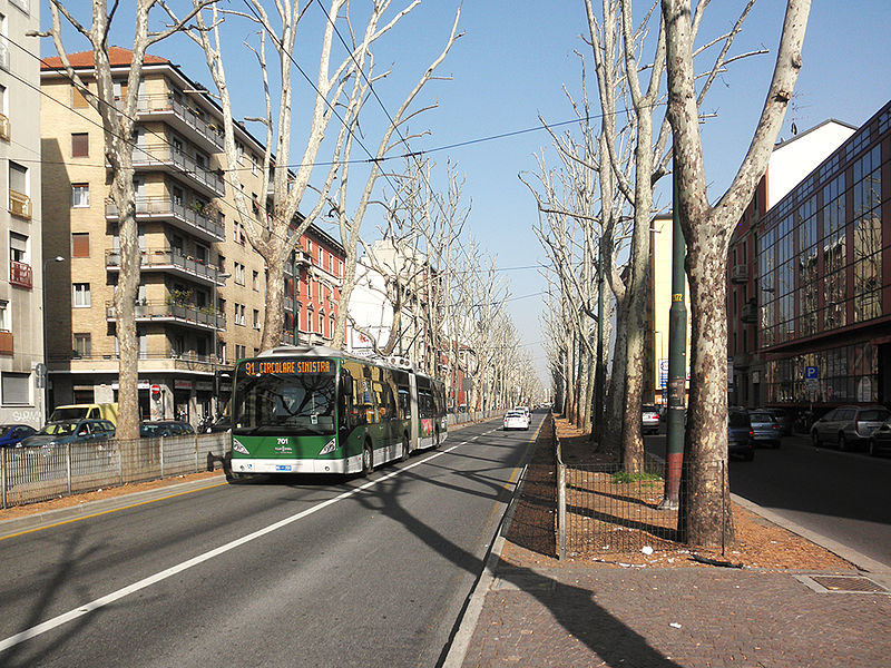 File:Milano - viale Edoardo Jenner - corsia filoviaria.JPG