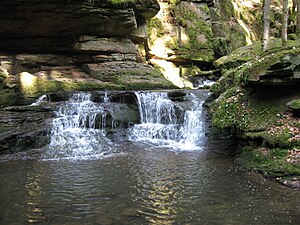 Waterfall in the Monbach Gorge