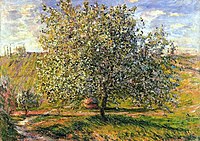 Apple treen in blossom near Vetheuil Monet w 524.jpg