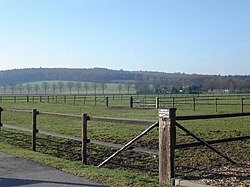 Countryside in Montferland