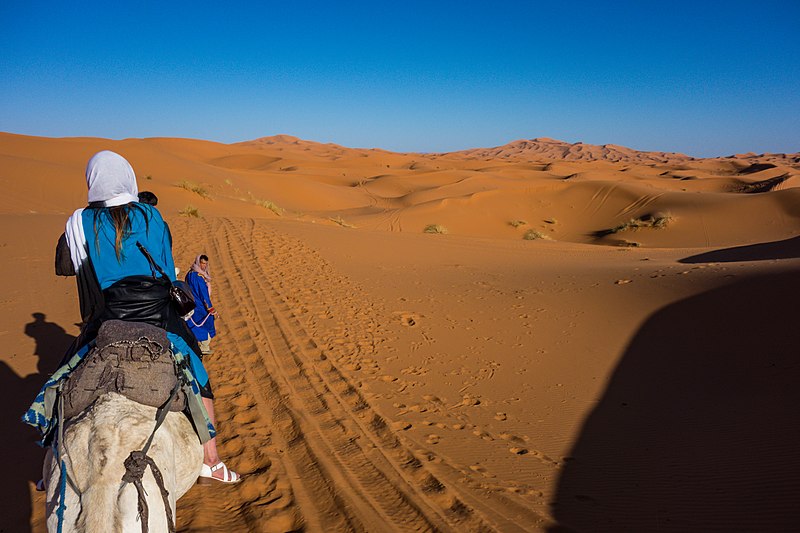 File:Morocco - Marrakech to Sahara (31053464360).jpg