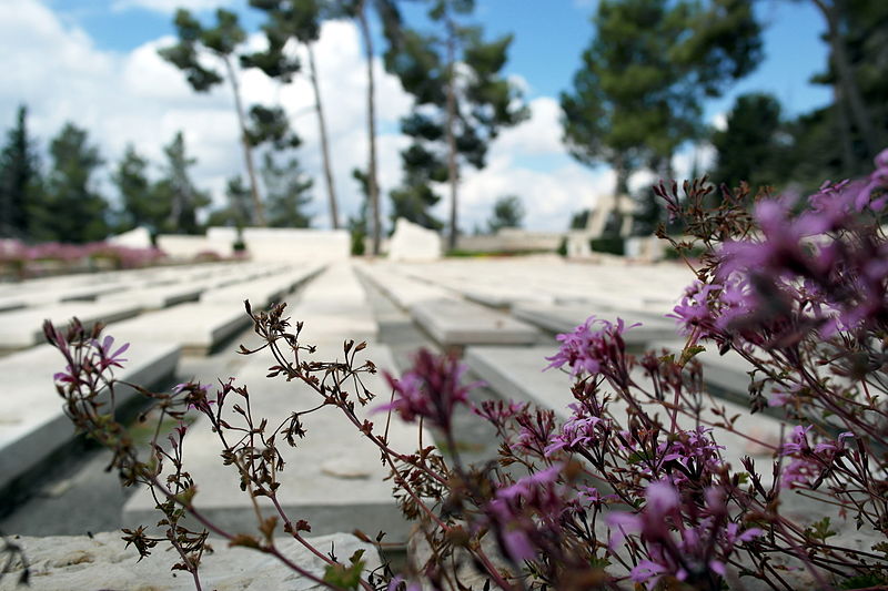 File:Mount Herzl (15623307101).jpg