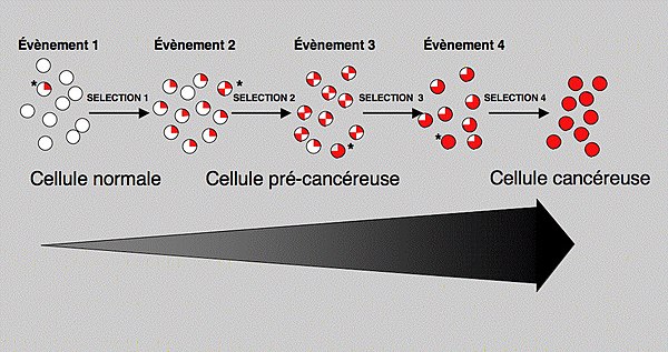 Multiple mutations in cancer cells