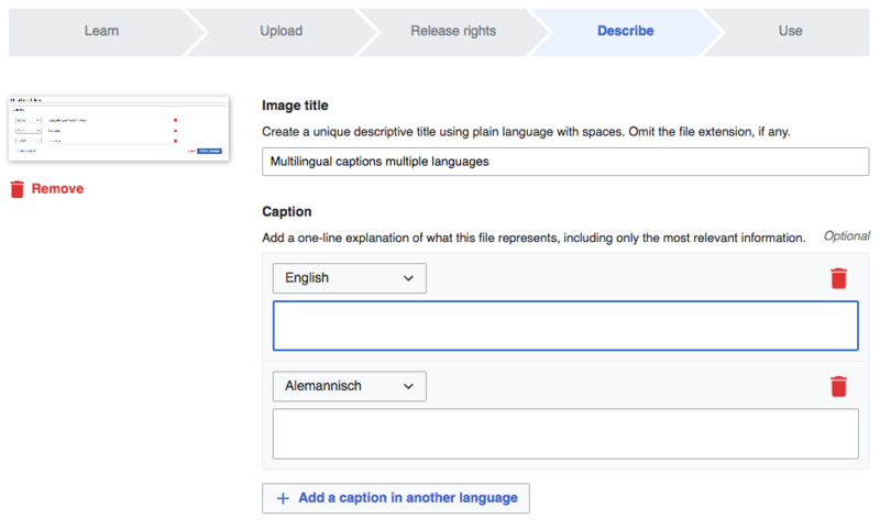 File:Multilingual captions upload wizard add language.png