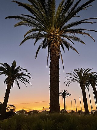 <span class="mw-page-title-main">Murrumbeena, Victoria</span> Suburb of Melbourne, Victoria, Australia