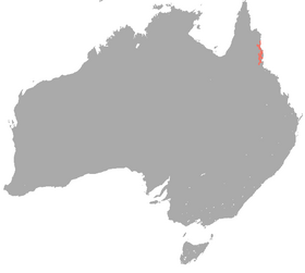 Musky rat-kangaroo range